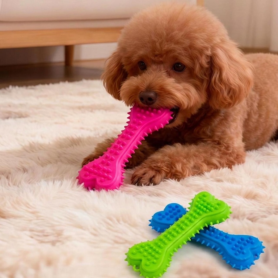 3개 또는 6개 세트의 씹는 장난감, 고무 재질의 강아 - Teeth Cleaning Dog Chew Bone 리뷰 및 가격