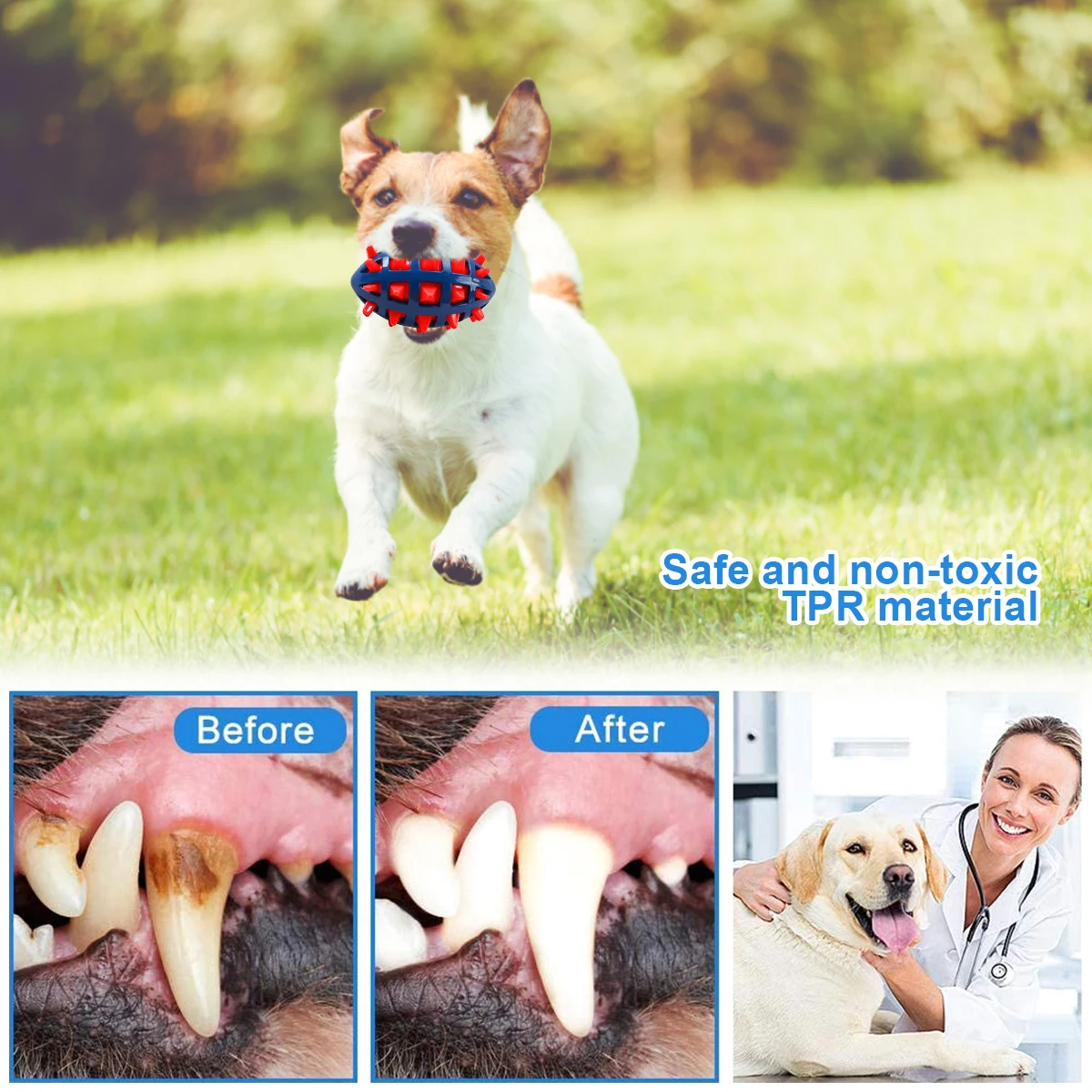편안한 고무 강아지 씹기 장난감, 반려동물 씹기 장난감 - Indestructible Dog Chew Toy 리뷰 및 가격