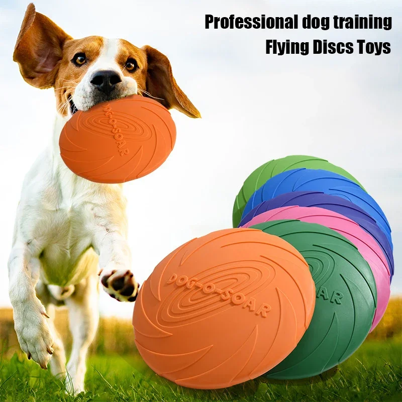 G 대형견용 골든 털 소재 반려동물용 플라잉 디스크 장 - Flying Disc Dog Training Toy 리뷰 및 가격